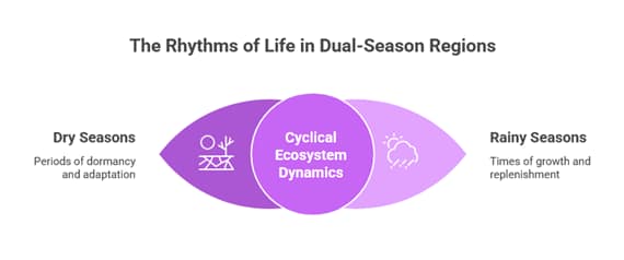 Best Time to Visit Zanzibar: The Ultimate 2025–2026 Seasonal Guide for Swiss Travelers