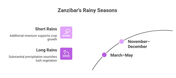Zanzibar Tanzania: Complete Weather & Travel Guide 2026