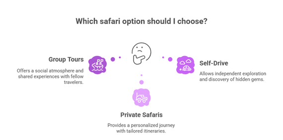 Planen Sie Ihre Safari-Abenteuer
