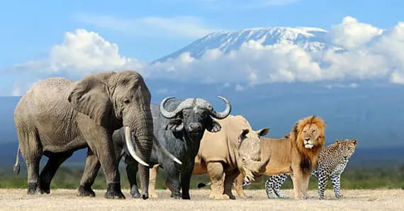 Best Time to Visit Zanzibar: The Ultimate 2025–2026 Seasonal Guide for Swiss Travelers