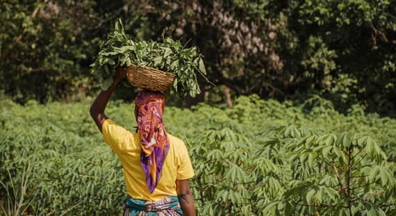 Zanzibar Island Guide: Spice Farms