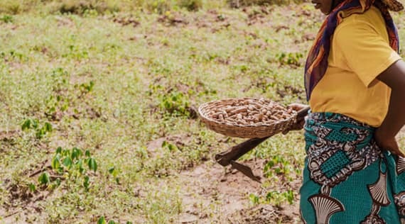 Tanzania Activity Planning by Season: When to Snorkel, Dive, Safari, and Explore