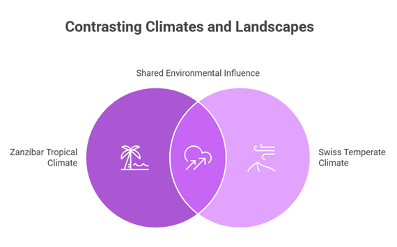 Zanzibar Tanzania: Complete Weather & Travel Guide 2026