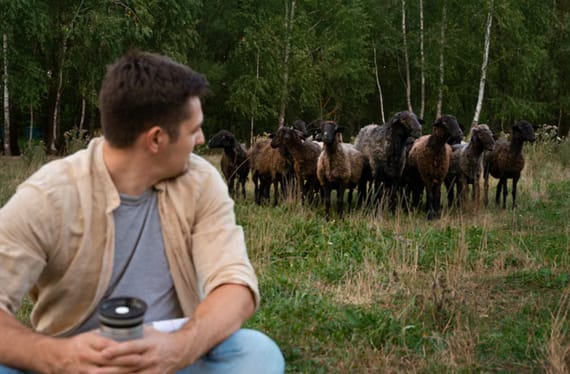 Tanzania Activity Planning by Season: When to Snorkel, Dive, Safari, and Explore