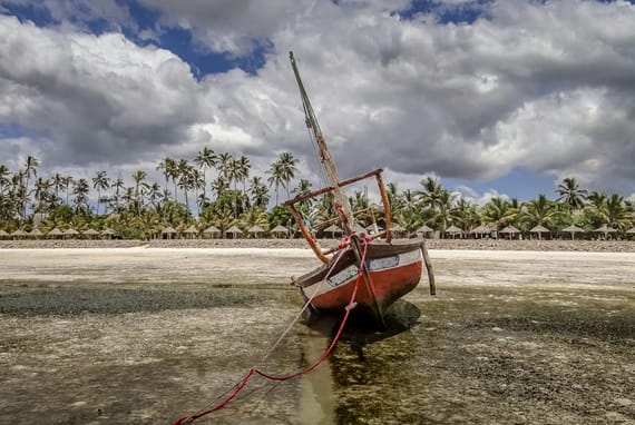 Top Activities in Tanzania Zanzibar for Every Season (Updated 2025-2026)