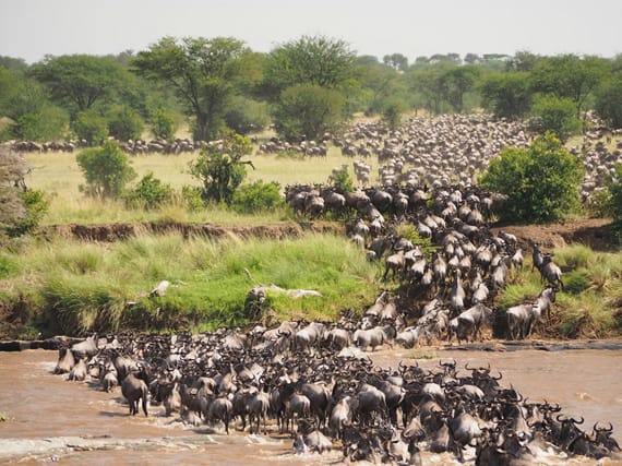 Best Time to Visit Zanzibar: The Ultimate 2025–2026 Seasonal Guide for Swiss Travelers