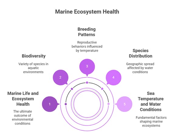 Zanzibar Tanzania: Complete Weather & Travel Guide 2026