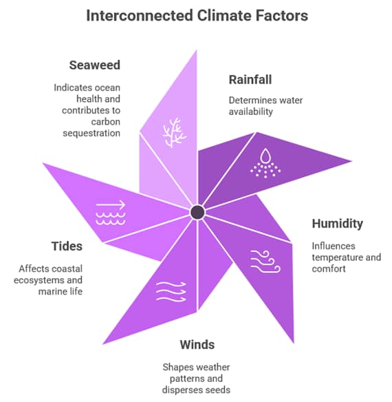 Best Time to Visit Zanzibar: The Ultimate 2025–2026 Seasonal Guide for Swiss Travelers