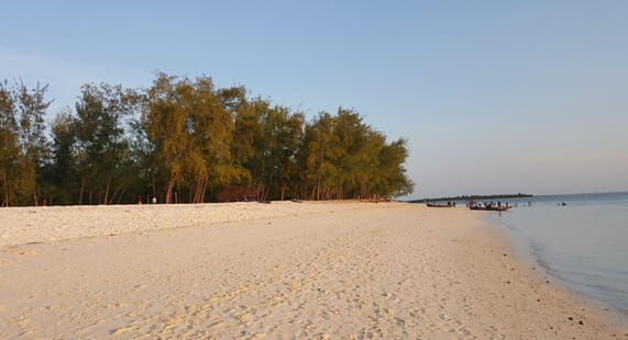 Zanzibar Best Time to Visit: Complete 2026 Guide