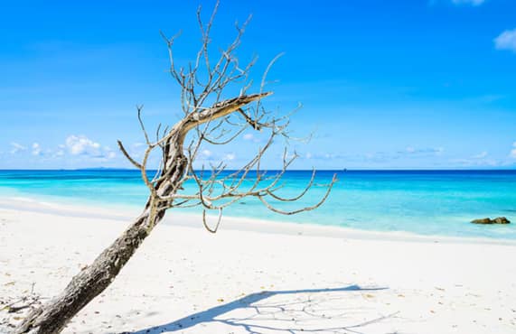 Zanzibar Island Guide: From Stone Town Culture to Beach Relaxation