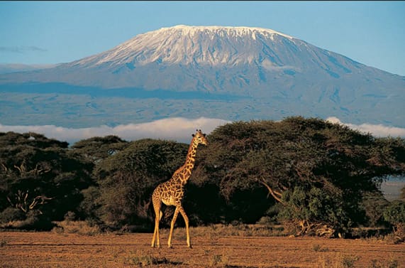 Consider the ultimate triad: Mountain, safari, beach