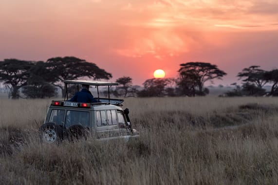 Budget Safari Tanzania: Cost & Planning Guide 2026