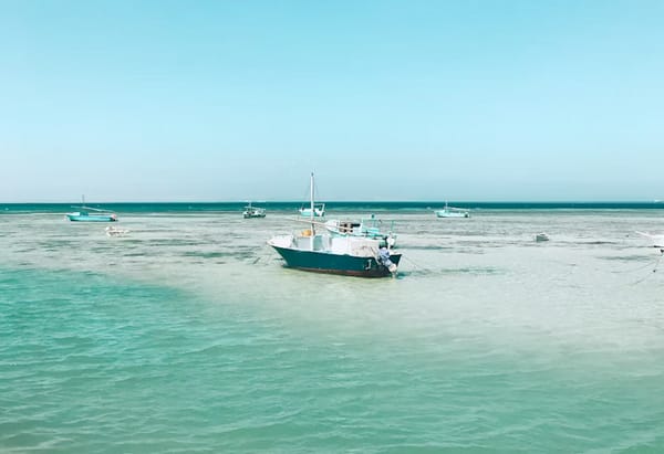 Best Time to Visit Zanzibar: The Ultimate 2025–2026 Seasonal Guide for Swiss Travelers