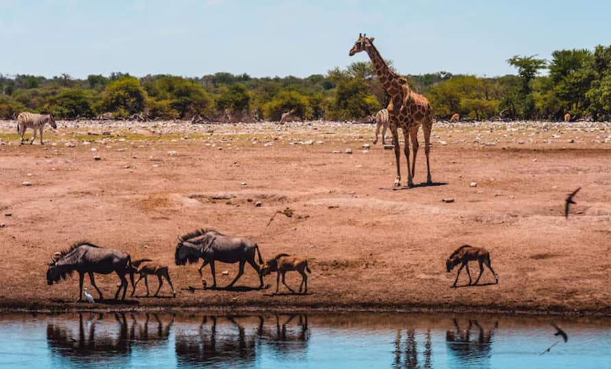 Tanzania Itinerary: Tarangire National Par