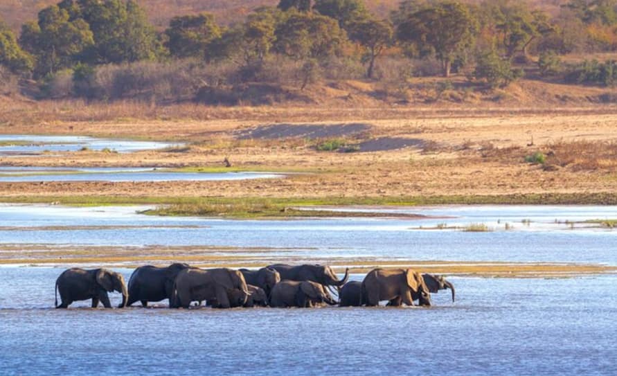 Best Tanzania Itinerary Options: 7, 10, & 14 Day Plans