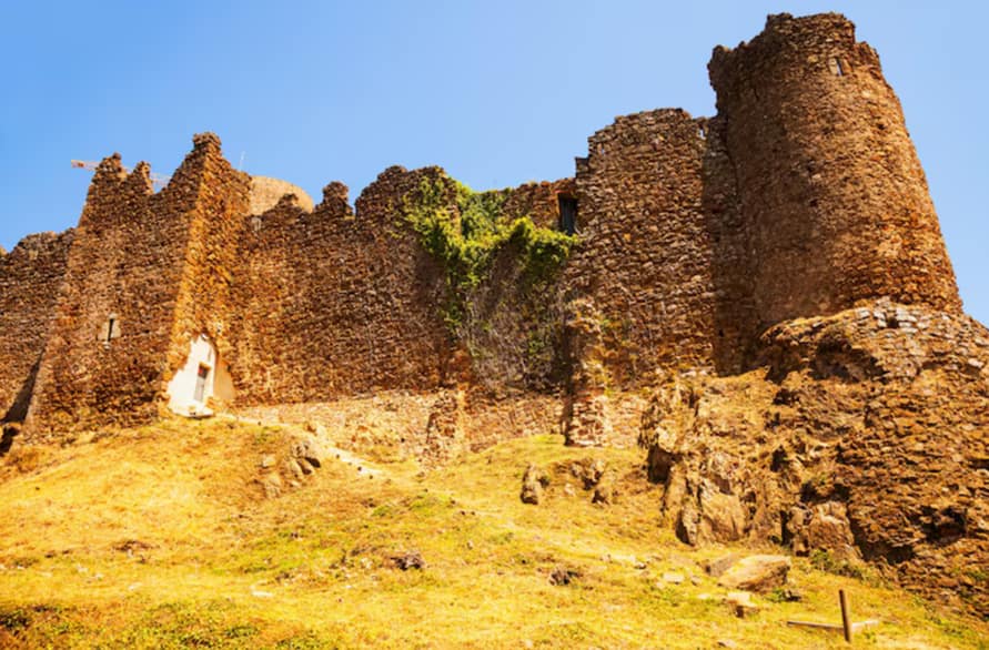 Best Tanzania Itinerary Options: 7, 10, & 14 Day Plans