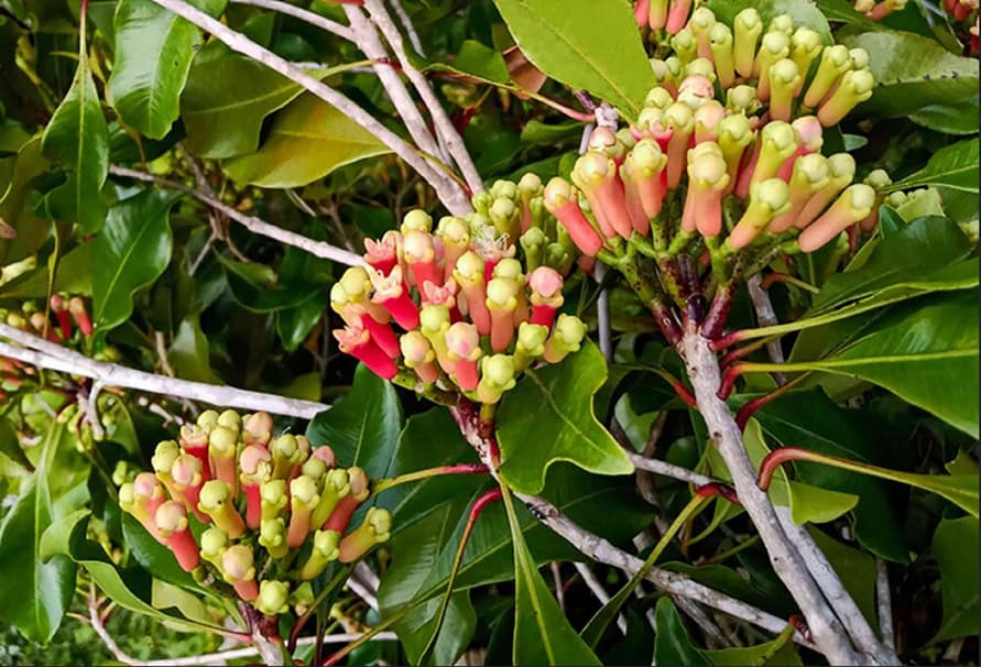 Best Time to Visit Zanzibar: The Ultimate 2025–2026 Seasonal Guide for Swiss Travelers