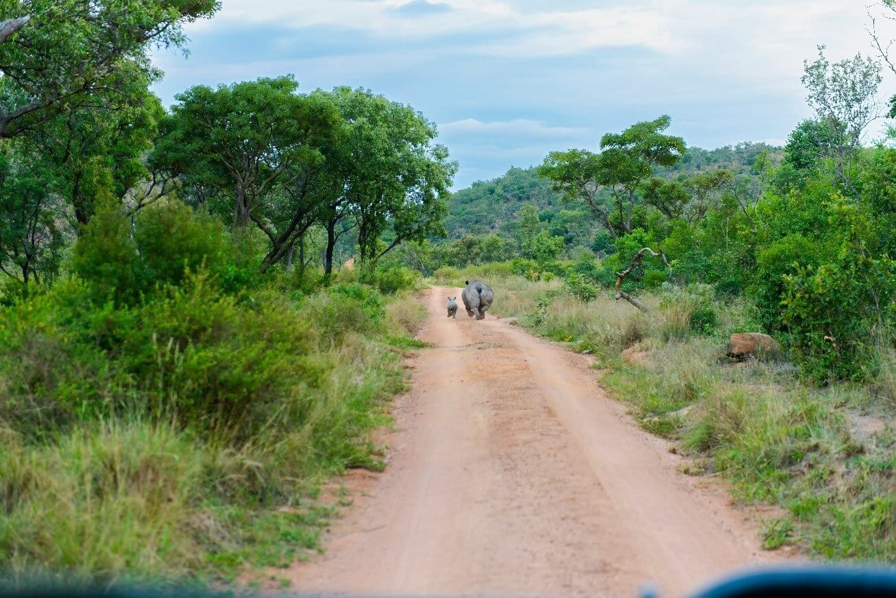 Tanzania Travel Blog Solo: Budget Tips for Amazing Adventures Tanzania Travel Blog Solo Budget Tips for Amazing Adventures
