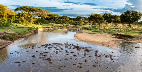 luxus safari sansibar angebote | Nyerere-Nationalpark (ehemals Selous)