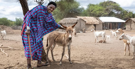 Alleinreise für Frauen Tanzania | Tauchen Sie ein in das lokale Leben
