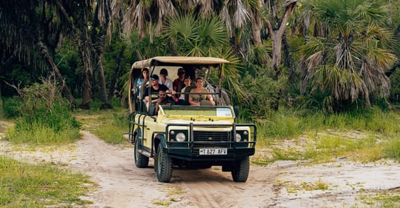 family-friendly safari - Choose your safari style