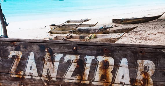 affordable safari and zanzibar tours - your guide to budget travel