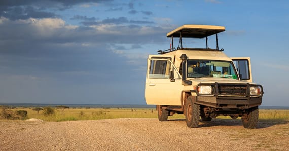 Was macht die Luxus-Safaris in Tansania so besonders?