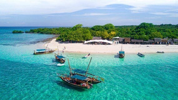 Your Complete Guide to the Perfect Tanzania and Zanzibar Tour Your Complete Guide to the Perfect Tanzania and Zanzibar Tour