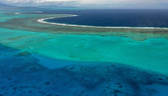 Top Activities in Tanzania Zanzibar for Every Season (Updated 2025-2026)