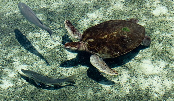 Top Activities in Tanzania Zanzibar for Every Season (Updated 2025-2026)