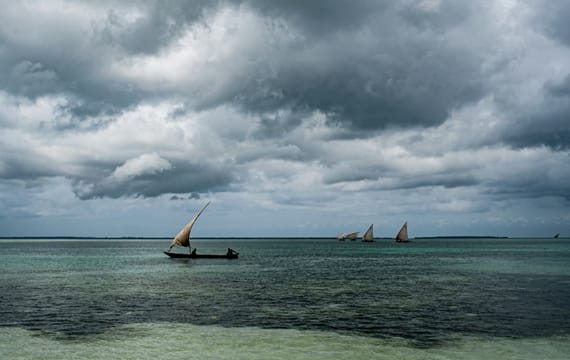 Best Time to Visit Zanzibar: The Ultimate 2025–2026 Seasonal Guide for Swiss Travelers
