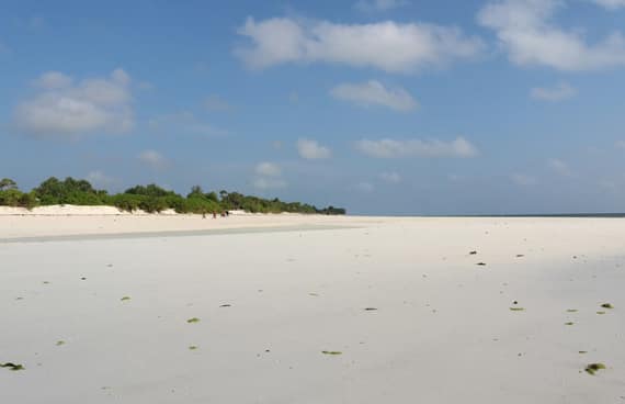 Zanzibar Best Time to Visit: Complete 2026 Guide