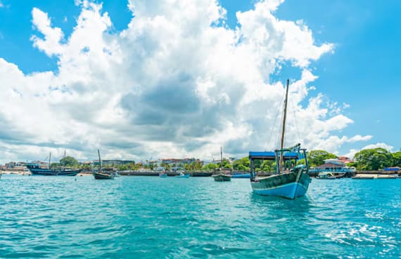 Tanzania Activity Planning by Season: When to Snorkel, Dive, Safari, and Explore