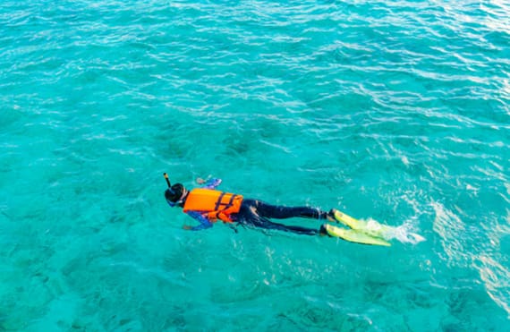 Tanzania Activity Planning by Season: When to Snorkel, Dive, Safari, and Explore