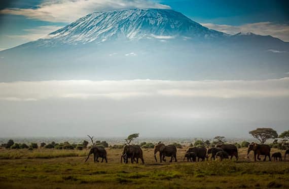 tansania solo reise tipps | Kilimandscharo