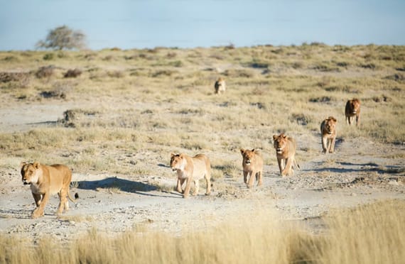 Best Time to Visit Zanzibar: The Ultimate 2025–2026 Seasonal Guide for Swiss Travelers