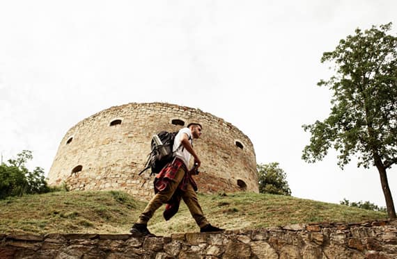 Tanzania Activity Planning by Season: When to Snorkel, Dive, Safari, and Explore