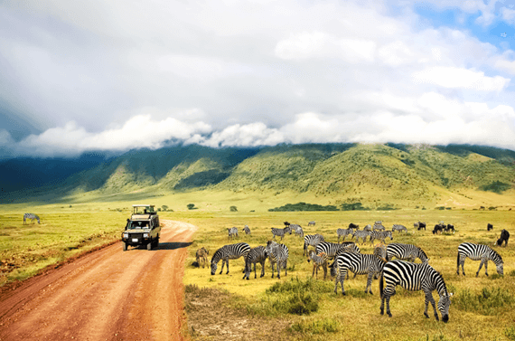 Plan Your Trip to Tanzania: Your Individual Tour, Luxury Safari & Private Safari to Tanzania and Zanzibar Plan Your Trip to Tanzania Your Individual Tour, Luxury Safari & Private Safari to Tanzania and Zanzibar