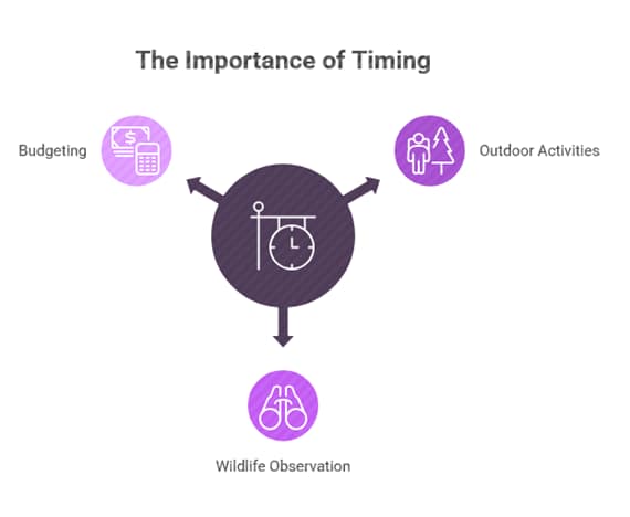 Zanzibar Best Time to Visit: Why Timing Matters for Weather, Wildlife, and Budget