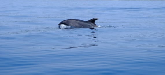 Zanzibar Best Time to Visit: Complete 2026 Guide