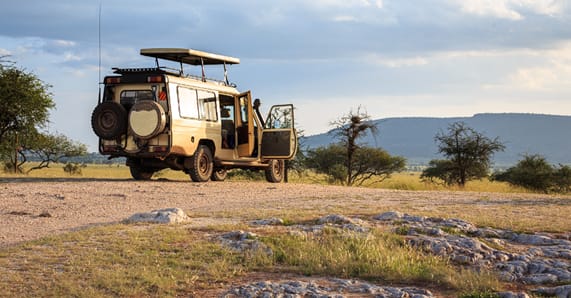 tanzania backpacking - 4x4 Safari Adventure