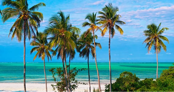 Add a Zanzibar beach break