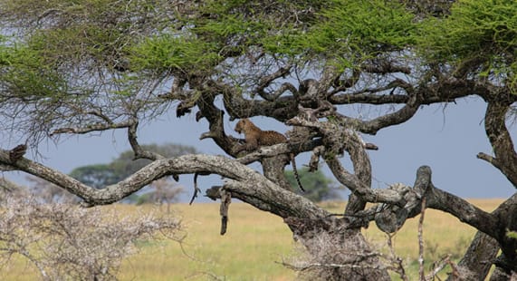 Top Activities in Tanzania Zanzibar for Every Season (Updated 2025-2026)