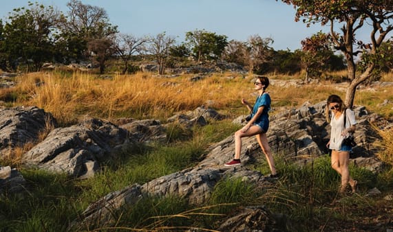 5 Best National Parks in Tanzania: The Ultimate Guide