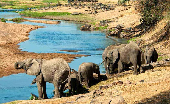 solo female travel tanzania | Off-the-beaten-path adventures