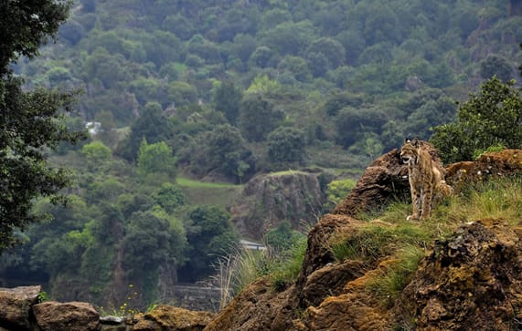 5 Best National Parks in Tanzania: The Ultimate Guide