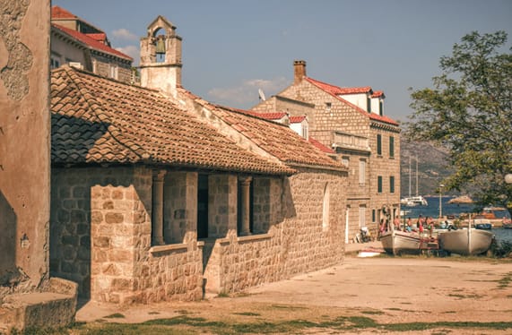 Budget Safari Tanzania: Cost & Planning Guide 2026