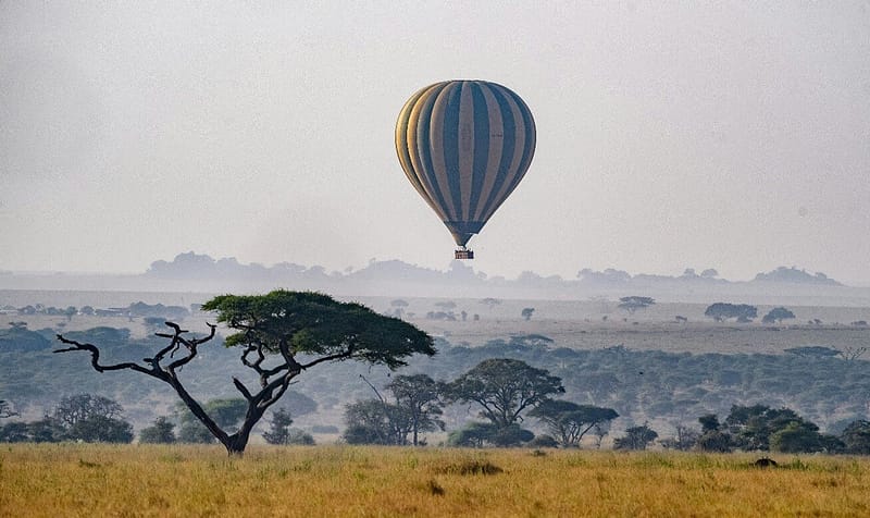 Experience Tanzania with These Top Solo Travel Packages Experience Tanzania with These Top Solo Travel Packages