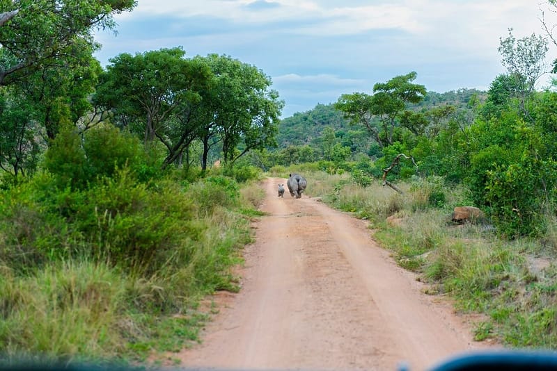 Tanzania Travel Blog Solo: Budget Tips for Amazing Adventures Tanzania Travel Blog Solo Budget Tips for Amazing Adventures