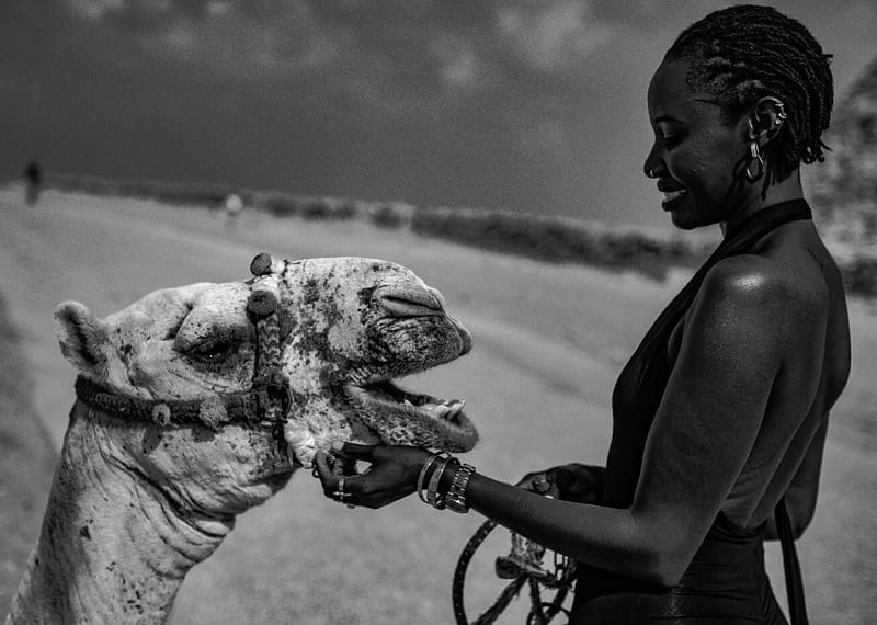Transformative Solo Female Travel Tanzania Experiences for You Transformative Solo Female Travel Tanzania Experiences for You